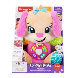 JFD34 Fisher Price Eğtici Köpekçiğin Kız Kardeşi-Yaşa Göre Gelişim